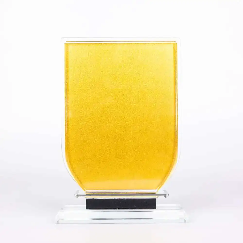 Rectangular Curvy Crystal Trophy